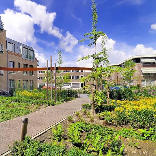 Singelhof