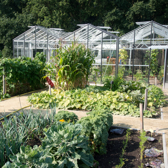 Zorgboerderij BuitenGewoon 3 