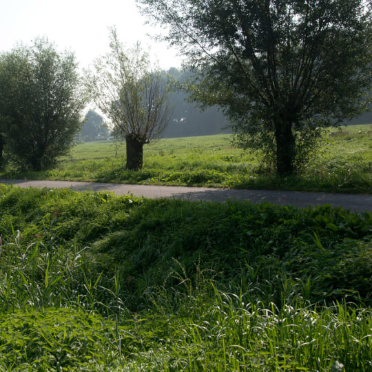 Zorgboerderij BuitenGewoon 3 
