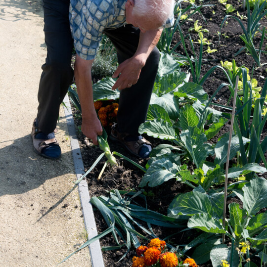 Zorgboerderij BuitenGewoon 3 