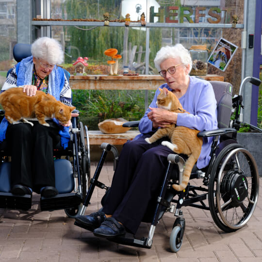 Bies-2-ondersteuning